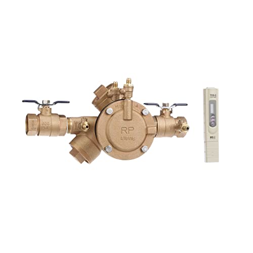 Febco 825EBV Reduced Pressure Zone Assembly, Quarter Turn Shutoff, 1 Inch