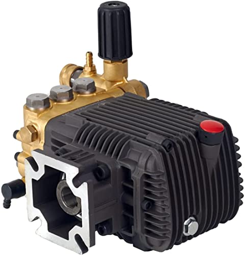 CANPUMP Pressure Washer Triplex Pump, 3000 psi at 3.1 gpm, 3/4-inch Horizontal Shaft