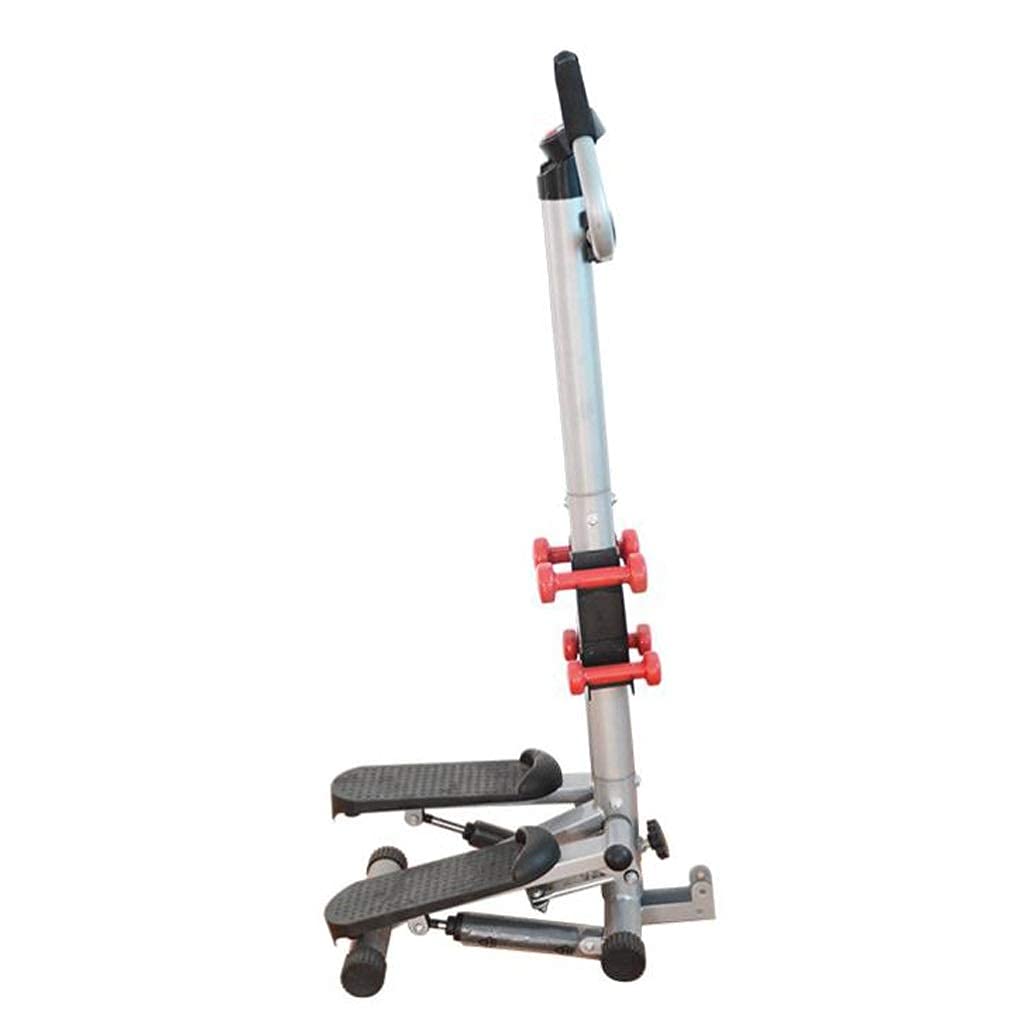 Mini-Stepper Swing Stepper Stair Step Machines Home Twist Stepper with Dumbbells and Twist Discs Workout Fitness Machine