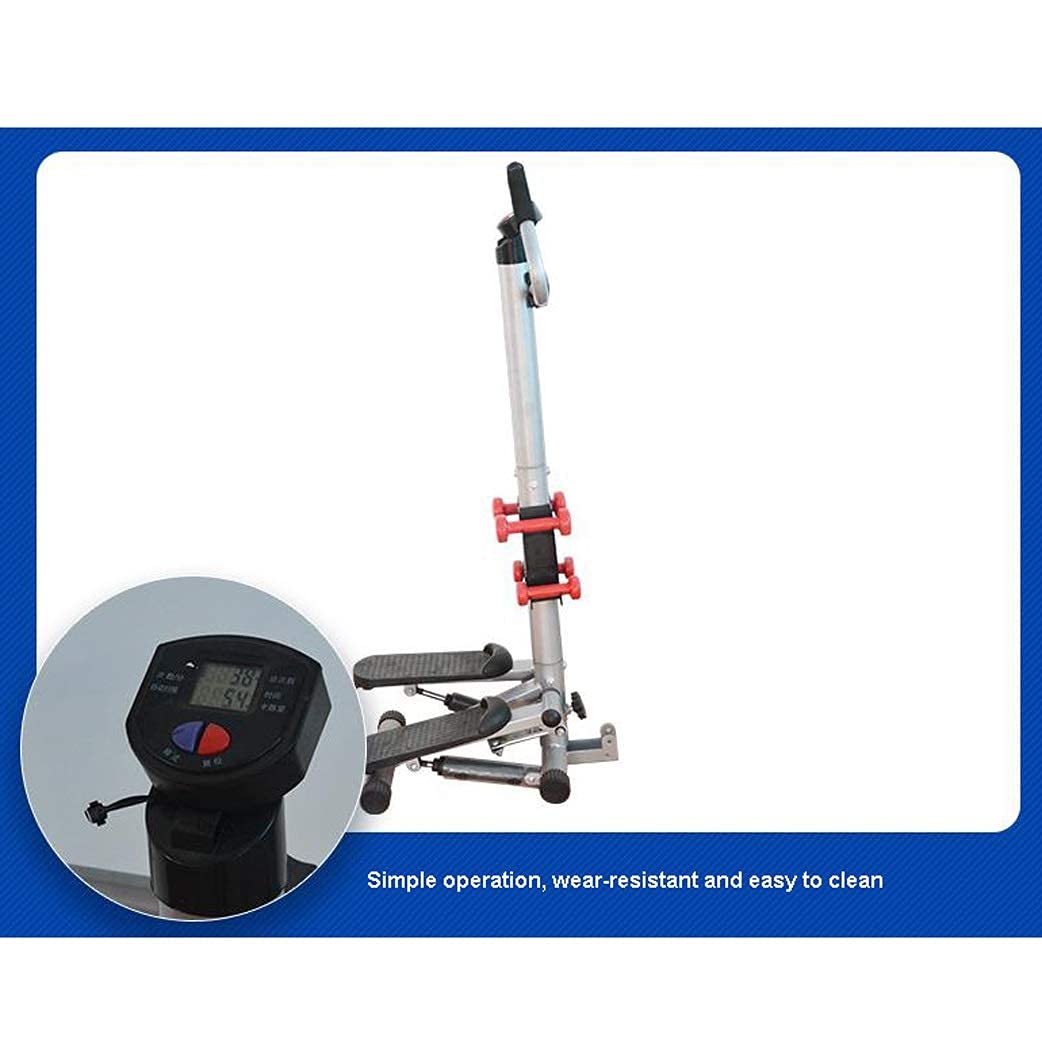 ZHCWEP Mini-Stepper Swing Stepper Stair Step Machines Home Twist Stepper with Dumbbells and Twist Discs Workout Fitness Machine Sport Exercise Gym for Exercise Efficency