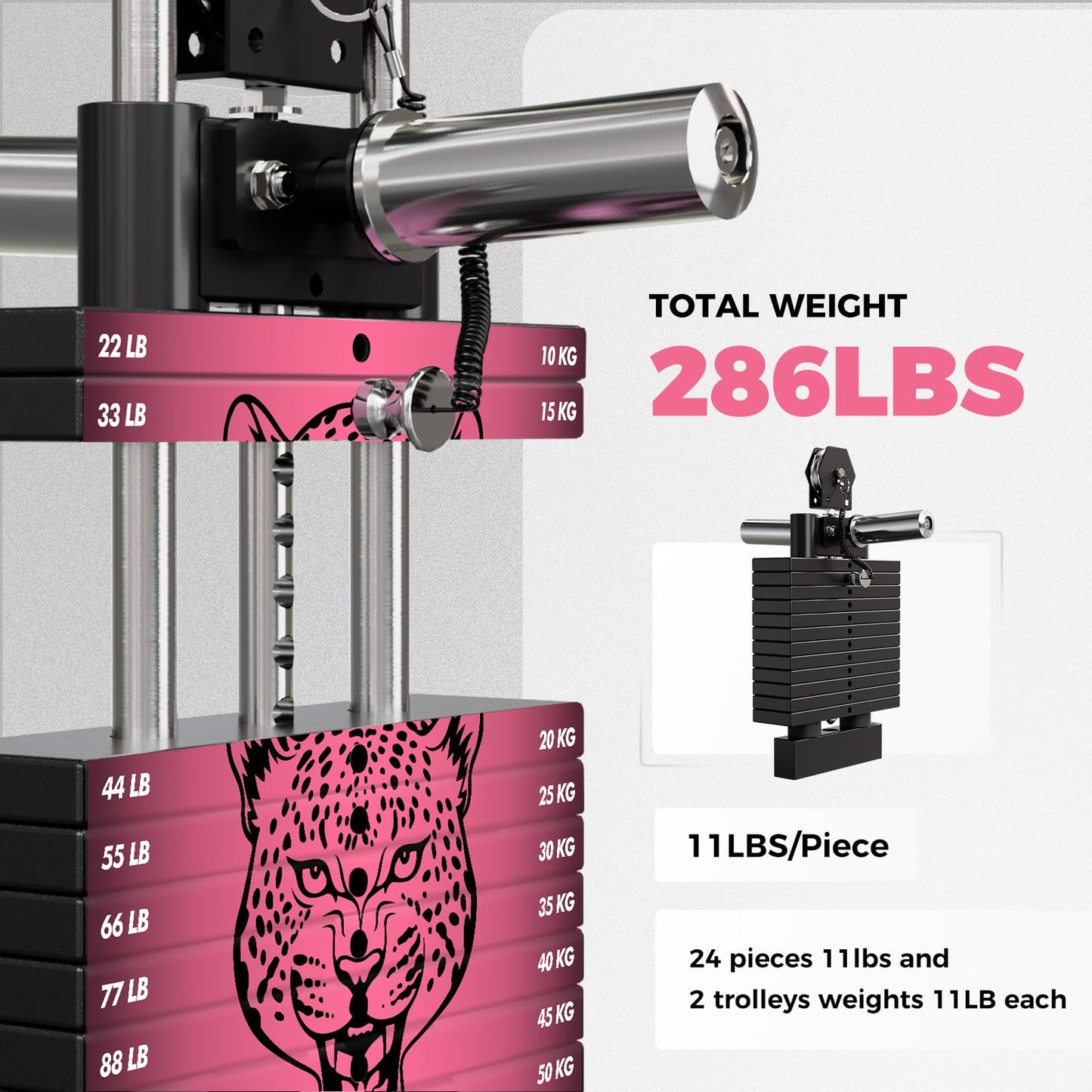 RitFit WSM1 Weight Stack Set 286lbs for M1 Smith Machine, Compatible with M1 & M1 Pro Power Cage (Weight Stack Pink Only)