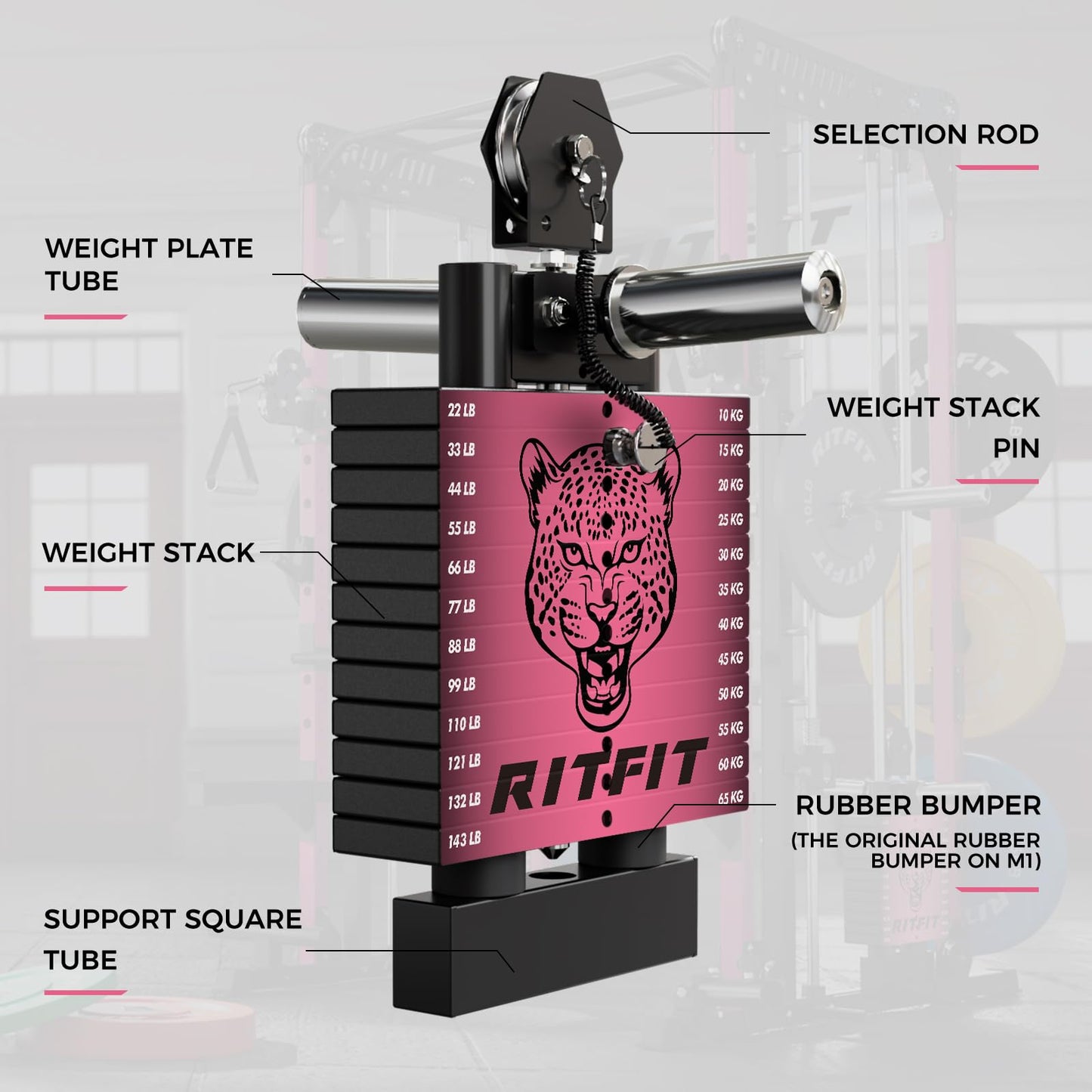 RitFit WSM1 Weight Stack Set 286lbs for M1 Smith Machine, Compatible with M1 & M1 Pro Power Cage (Weight Stack Pink Only)