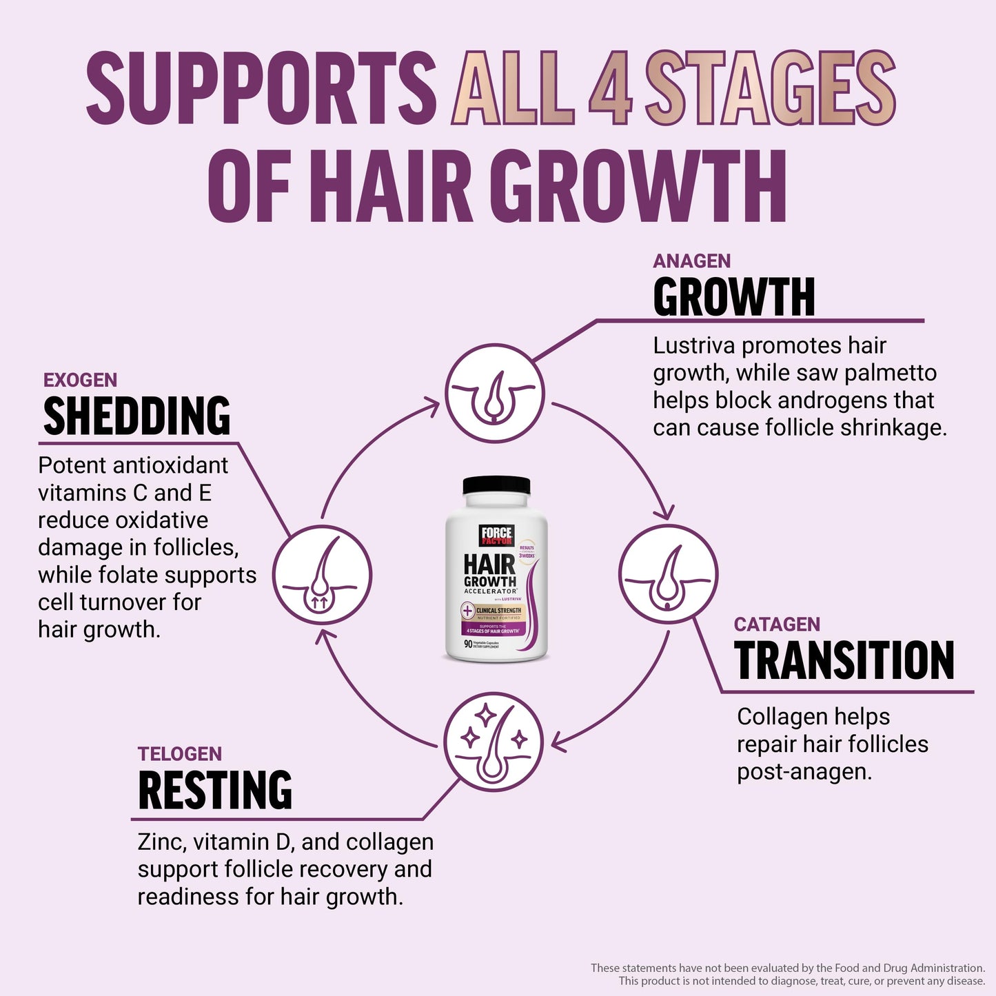Force Factor Hair Growth Accelerator Multivitamin for Women & Men, with Lustriva, Biotin, Horsetail & Vitamins A, B12, C, D & E for Thicker Hair, Healthier Skin & Nails, 90 Capsules,(Pack of 2)