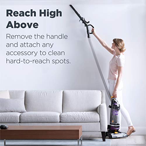 Eureka PowerSpeed Lightweight Bagless Upright Vacuum Cleaner with Pet Turbo Brush, for Carpet and Hard Floor, Purple