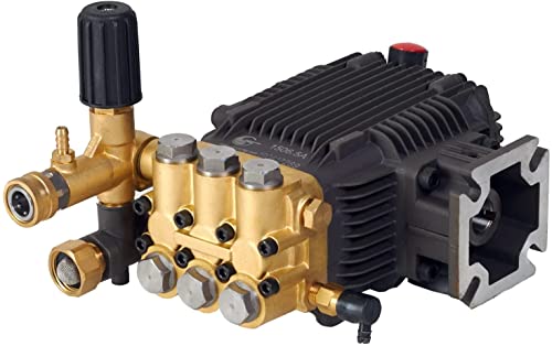 CANPUMP Pressure Washer Triplex Pump, 3000 psi at 3.1 gpm, 3/4-inch Horizontal Shaft