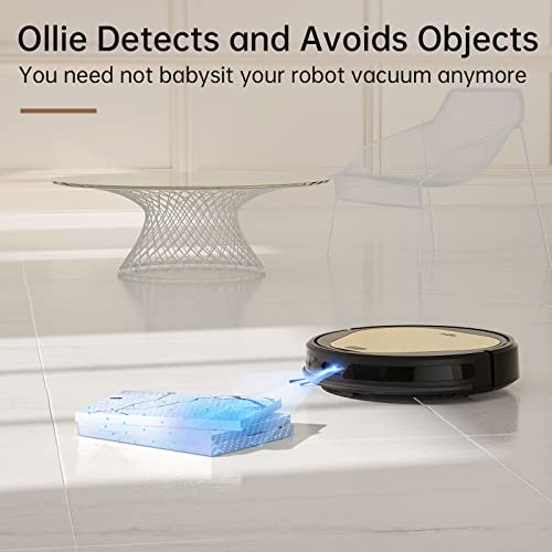 TRIFO Robot Vacuum Cleaner, Robot Cleaner 4000Pa, Objects Avoidance, Visual SLAM Navigation, 1080P Camera Home Surveillance, AI Mapping, Self-Charging, WiFi 2.4GHz, Robotic Vacuums, Ideal for Pet Hair