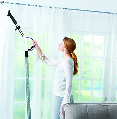 Eureka PowerSpeed Lightweight Bagless Upright Vacuum Cleaner with Pet Turbo Brush, for Carpet and Hard Floor, Plum