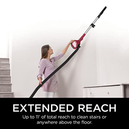 Shark Navigator CU500 Upright Vacuum with Self-Cleaning Brushroll Lift-Away TruePet Upright Corded Bagless Vacuum for Carpet and Hard Floor with Hand Vacuum and Anti-Allergy Seal (Renewed)