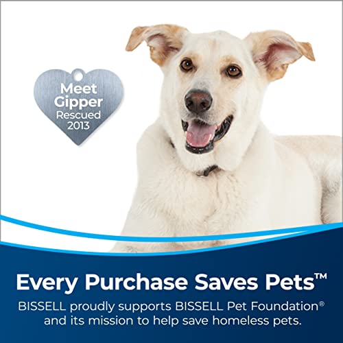 BISSELL Featherweight PowerBrush Stick Vacuum, Gray