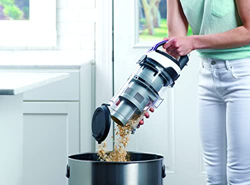 Eureka PowerSpeed Lightweight Bagless Upright Vacuum Cleaner with Pet Turbo Brush, for Carpet and Hard Floor, Plum