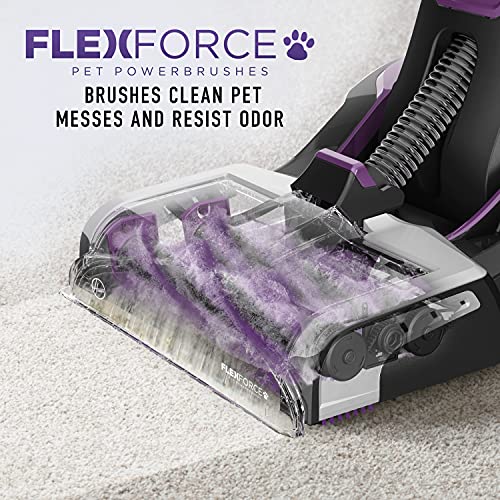 Hoover SmartWash Automatic Carpet Cleaner Spot Chaser Stain Remover Wand, Shampooer Machine for Pets, with Storage Mat, FH53050