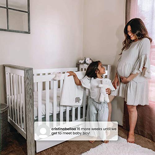 Delta Children Miles 4-in-1 Convertible Crib, Greenguard Gold Certified, Bianca White/Textured Limestone