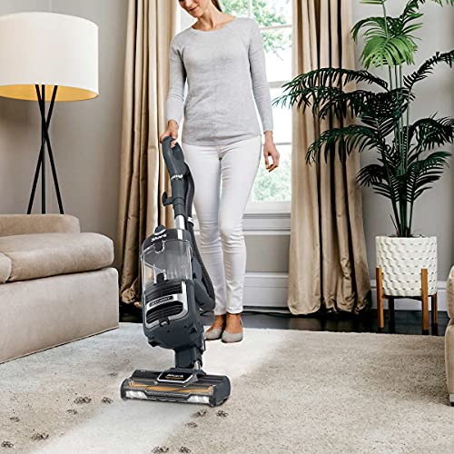 Shark UV725 Navigator Lift-Away with Self Cleaning Brushroll Upright Vacuum with HEPA Filter, Gray (Renewed)