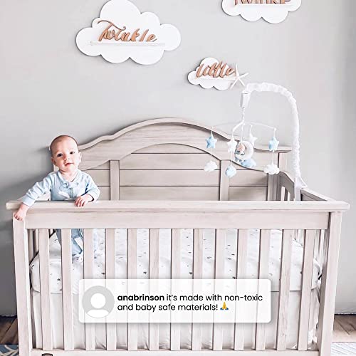 Simmons Kids Asher 6-in-1 Convertible Crib with Toddler Rail, Greenguard Gold Certified, Rustic Grey