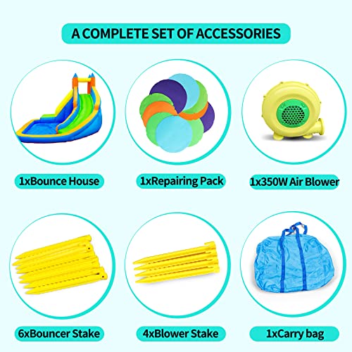 Doctor Dolphin Inflatable Water Slide ,Long Slides for Kids Backyard with Climbing Wall,Kids Bounce House with Slide,Inflatable Water Park with Plash Pool for Outdoor