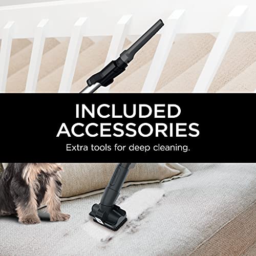 Shark HS152AMZ Corded Stick Vacuum Ultralight Pet Plus, Black/Lavender, Magenta