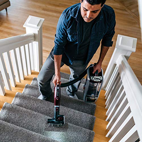Shark Rotator Powered Lift-Away TruePet Upright Corded Bagless Vacuum for Carpet and Hard Floor with Hand Vacuum and Anti-Allergy Seal (NV752), Bordeaux (Renewed)