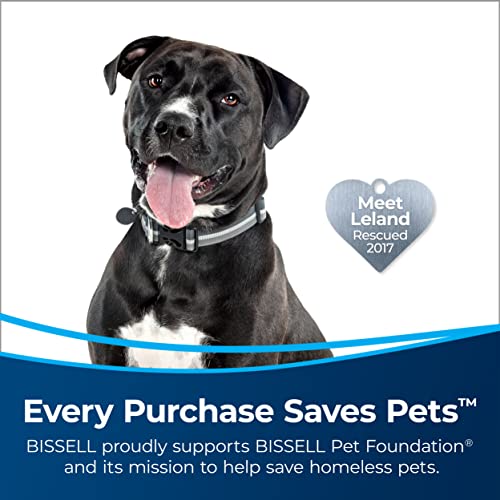 BISSELL 2998 MultiClean Allergen Lift-Off Pet Vacuum with HEPA Filter Sealed System, Lift-Off Portable Pod, LED Headlights, Specialized Pet Tools, Easy Empty