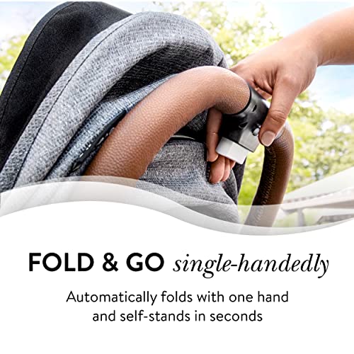 Evenflo Gold Gold Otto Self-Folding Lightweight Travel Stroller (Sapphire Blue), (18812312)