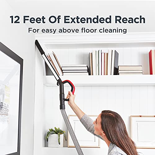 Eureka FloorRover Bagless Upright Pet Vacuum Cleaner, Swivel Steering for Carpet and Hard Floor, Grey and Red
